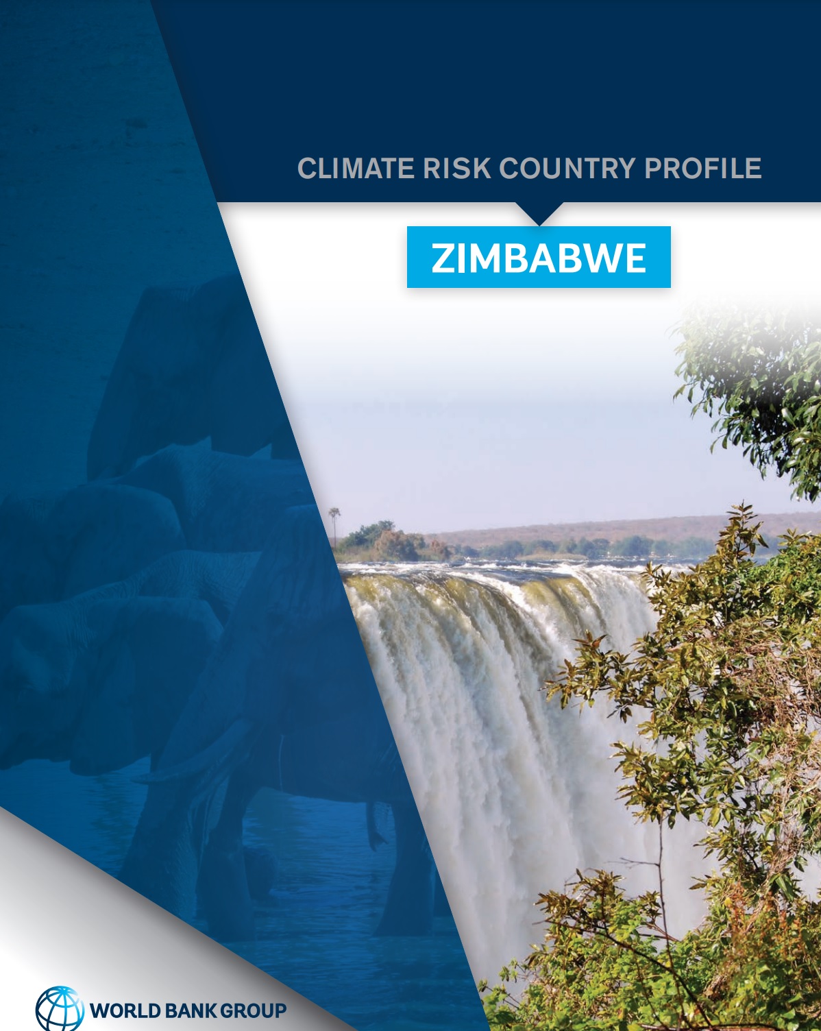 Country Risk Country Profile, Zimbabwe