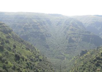 Ethiopia National Forest Priority Areas