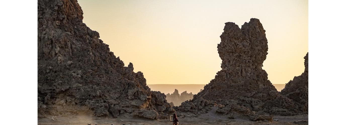 Lac Abbe, Djibouti