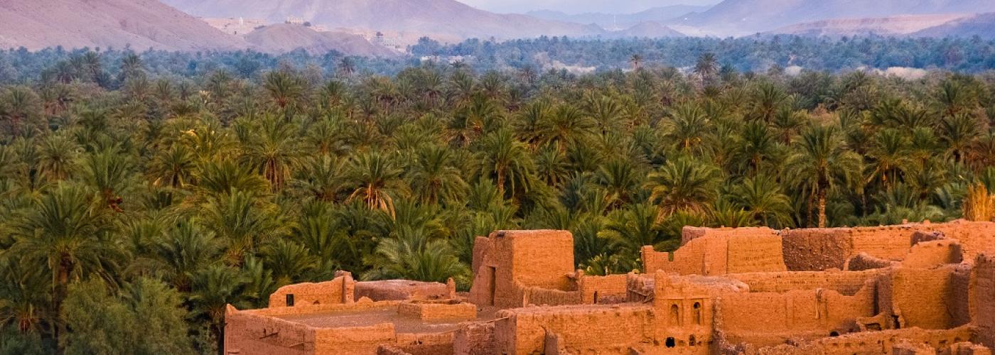 Oasis, Tamnougalt, Morocco