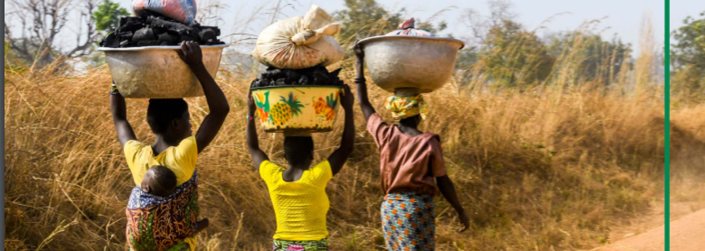 National Adaptation Plans - Benin