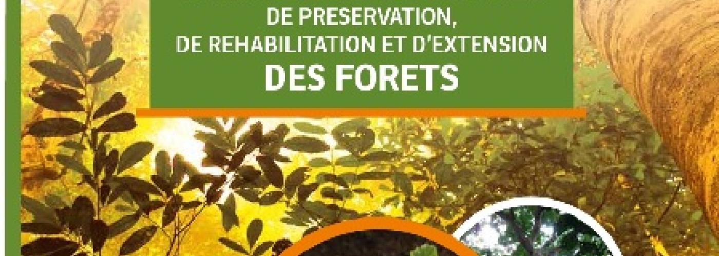 National strategy for the preservation, rehabilitation and extension of forests in ivory coast (SNPREF)