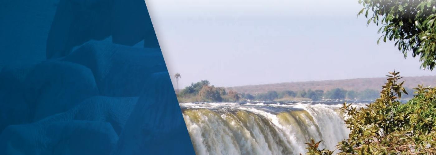Country Risk Country Profile, Zimbabwe