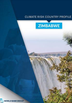 Country Risk Country Profile, Zimbabwe