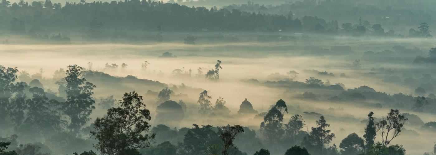 Climate - Cameroon