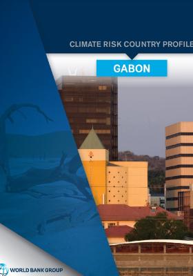 Country Risk Country Profile, Gabon